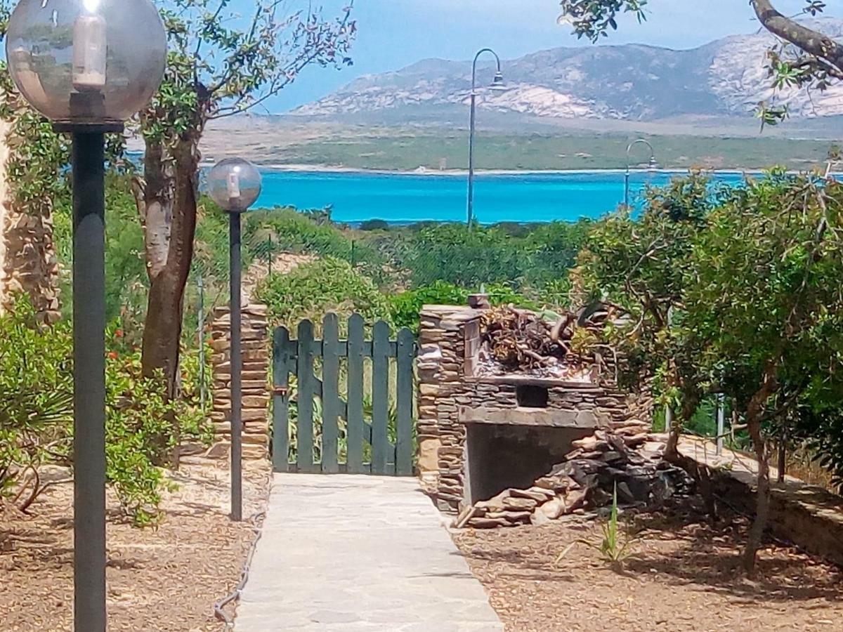 Panorama Sul Mare Villa Stintino Dış mekan fotoğraf