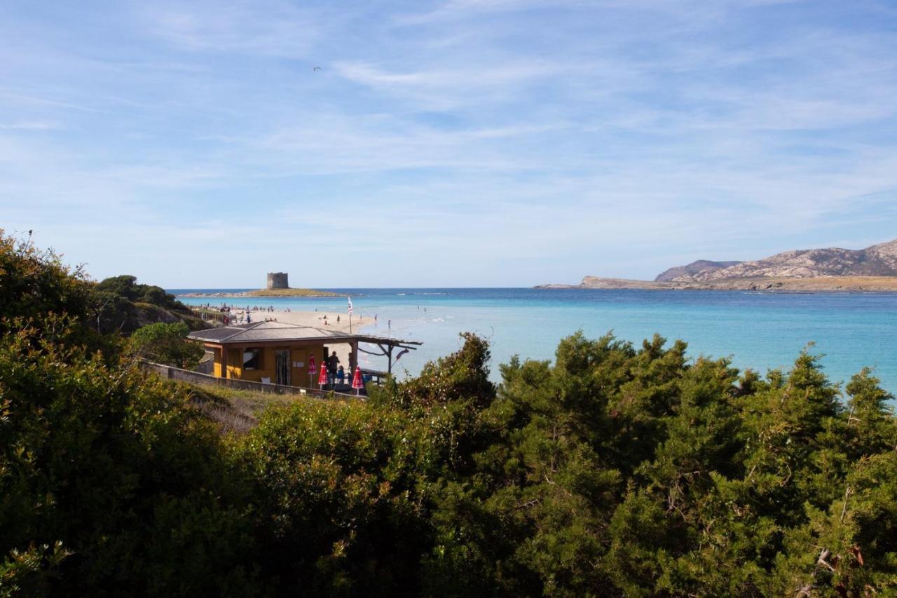 Panorama Sul Mare Villa Stintino Dış mekan fotoğraf