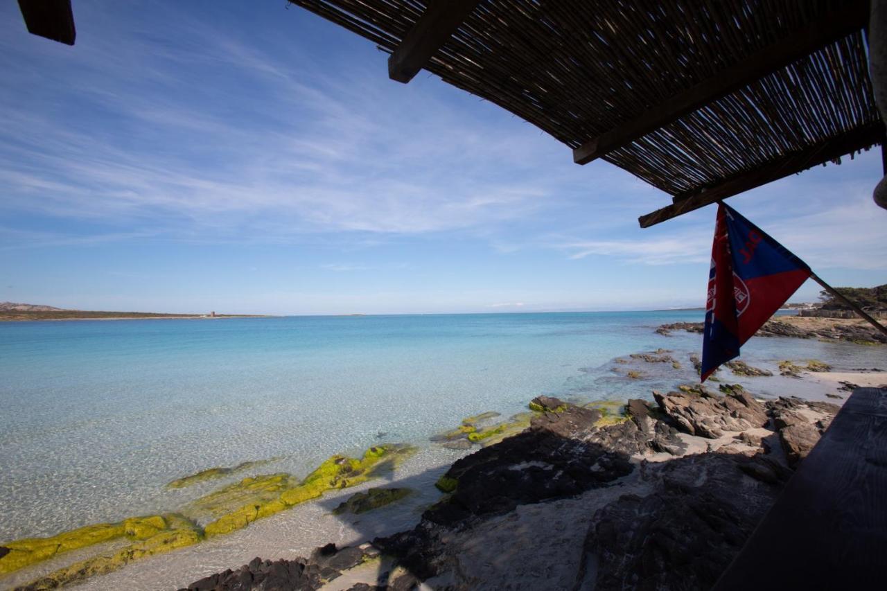 Panorama Sul Mare Villa Stintino Dış mekan fotoğraf